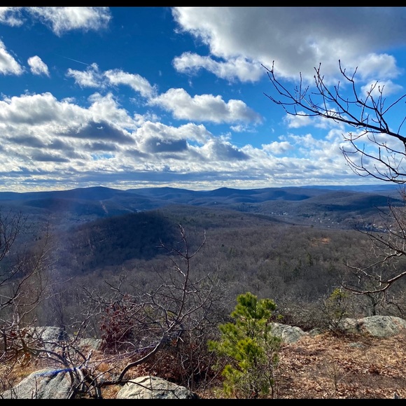 Meet your Posher, Madeleine - Picture 1 of 1